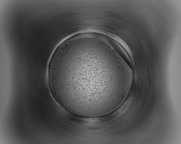 X0000099931388200805301150