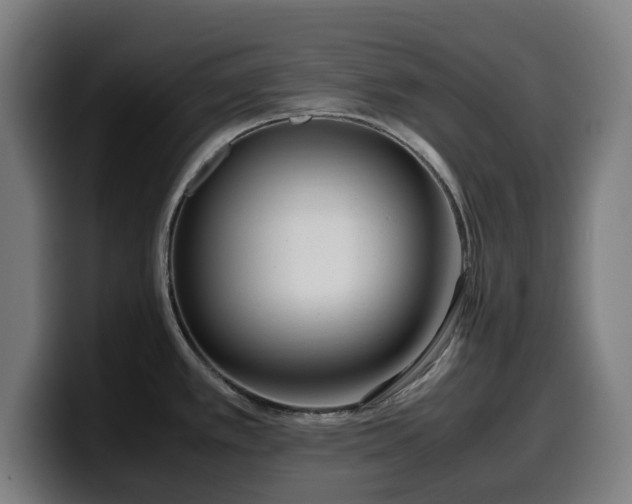 X0000099931389200805301150