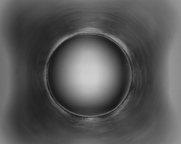 X0000099931390200805301150