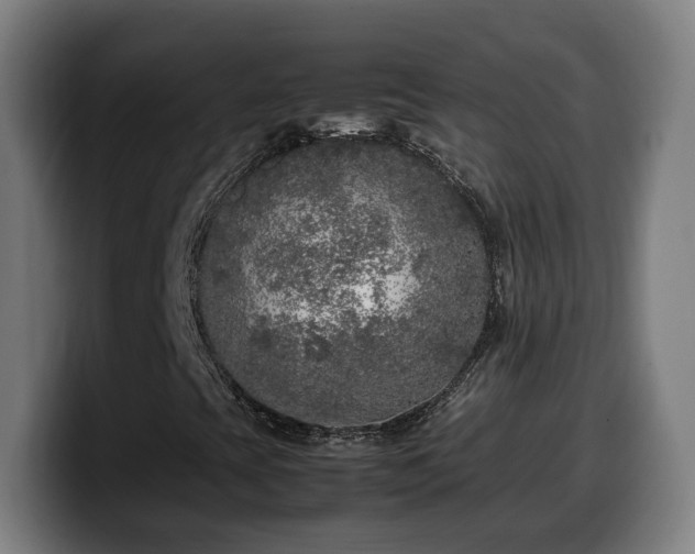 X0000099931393200805301149