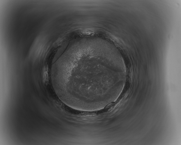 X0000099931394200805301149