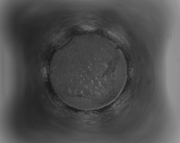 X0000099931397200805301149