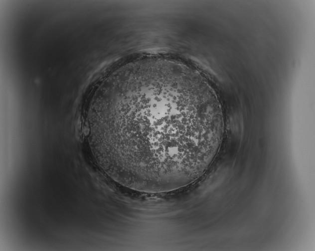 X0000099931398200805301149