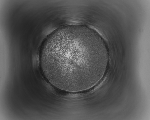 X0000099931402200805301149