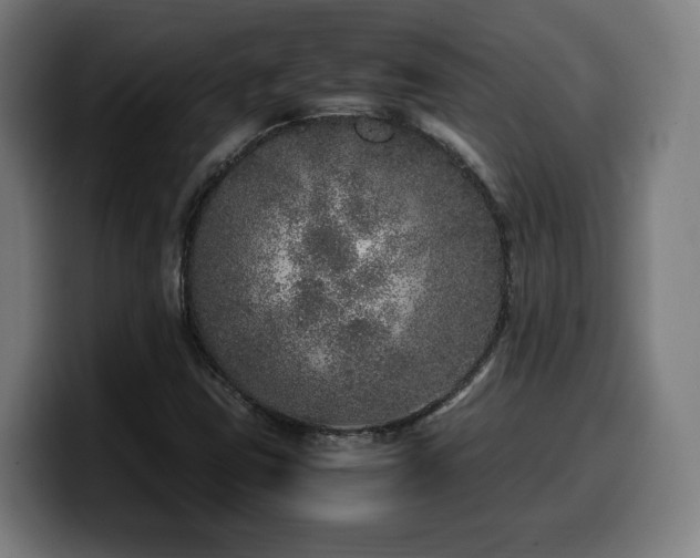 X0000099931403200805301149