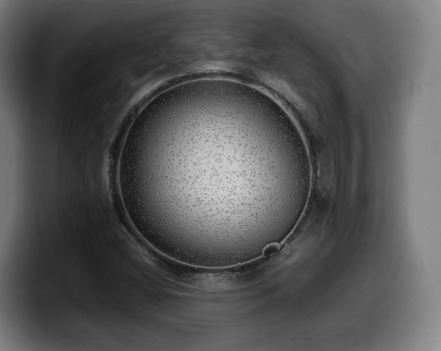 X0000099931404200805301149