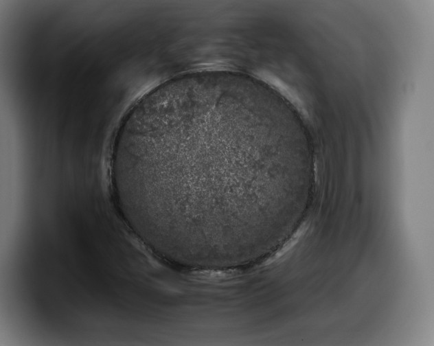 X0000099931405200805301149