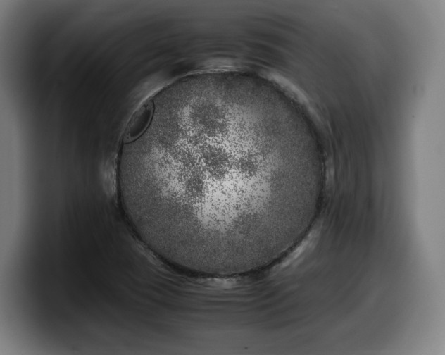 X0000099931409200805301149