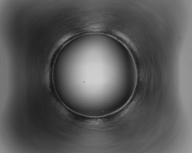 X0000099931410200805301149