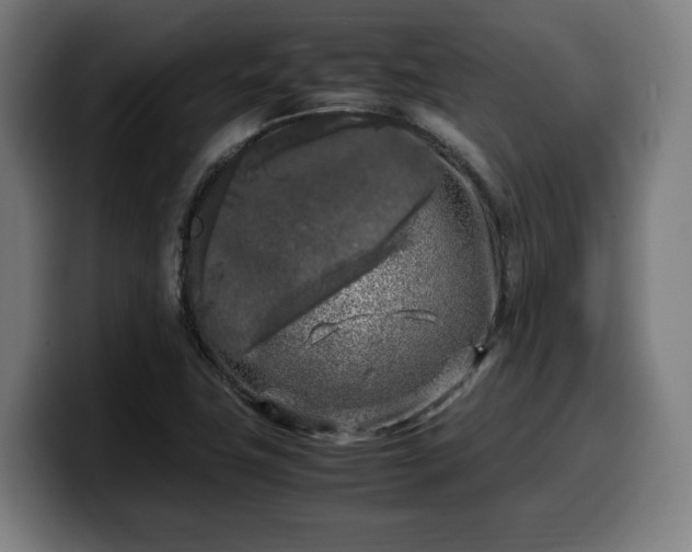 X0000099931411200805301149