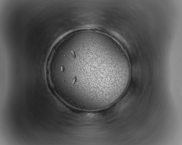 X0000099931412200805301149