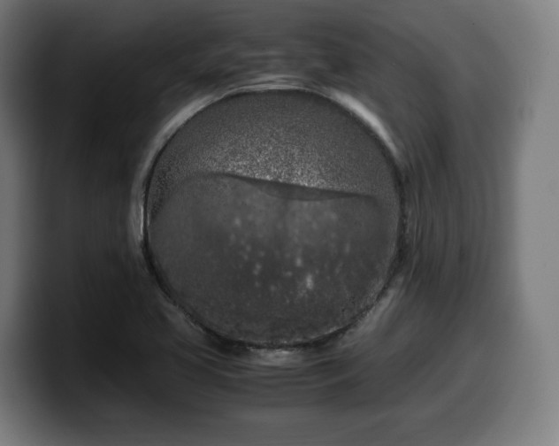 X0000099931413200805301149