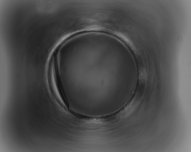 X0000099931414200805301149