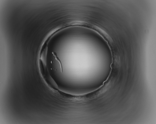 X0000099931418200805301149