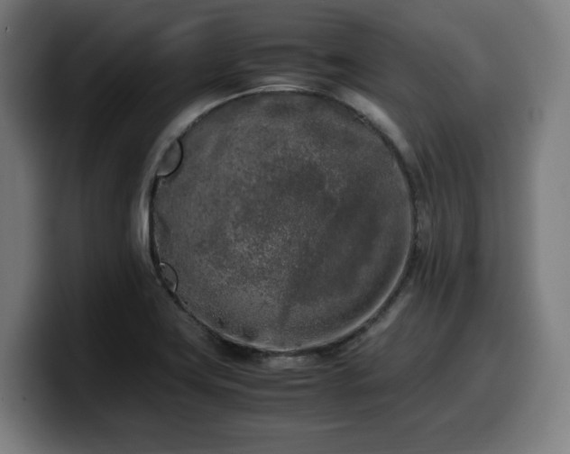 X0000099931419200805301149