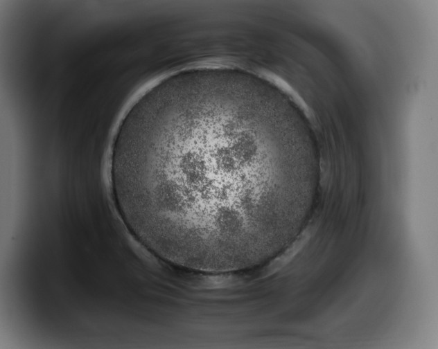 X0000099931421200805301149