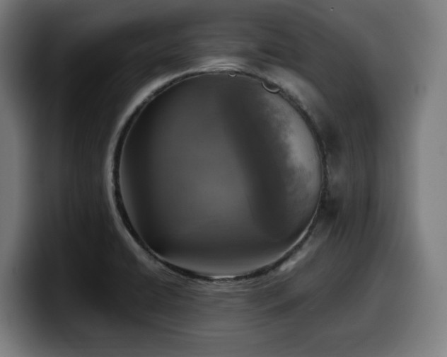 X0000099931422200805301149