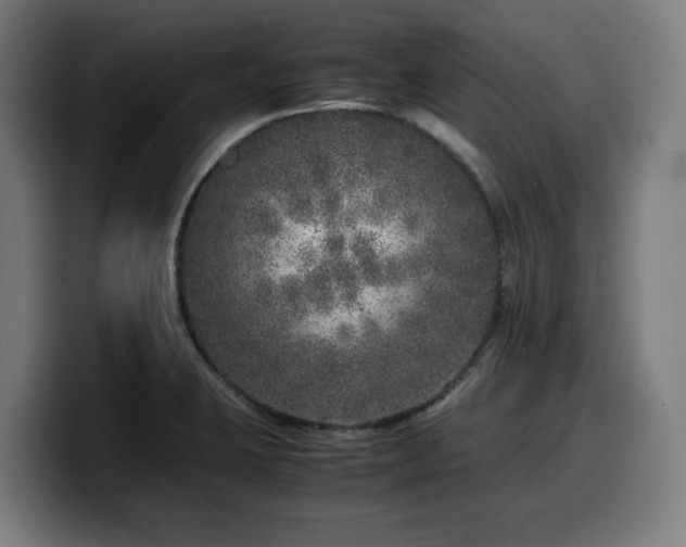 X0000099931423200805301149