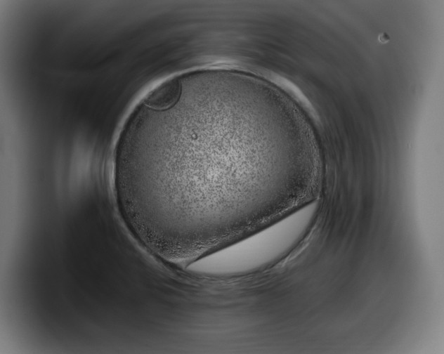 X0000099931424200805301149