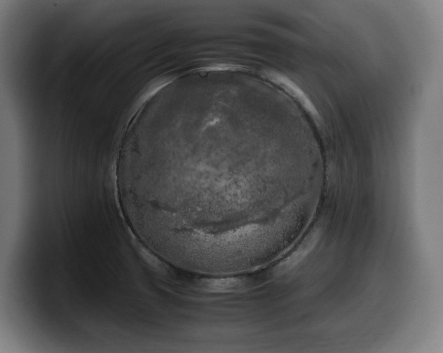 X0000099931425200805301149