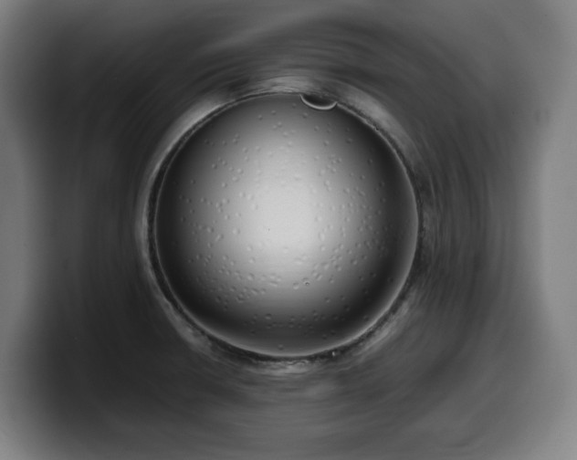 X0000099931426200805301149