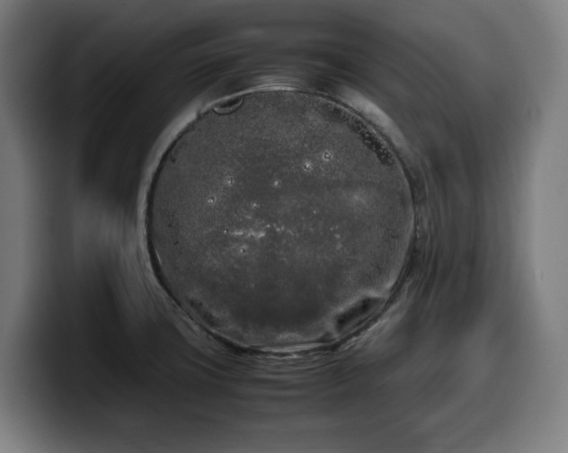 X0000099931427200805301149