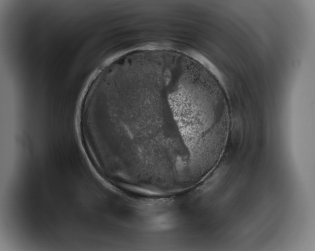 X0000099931429200805301150