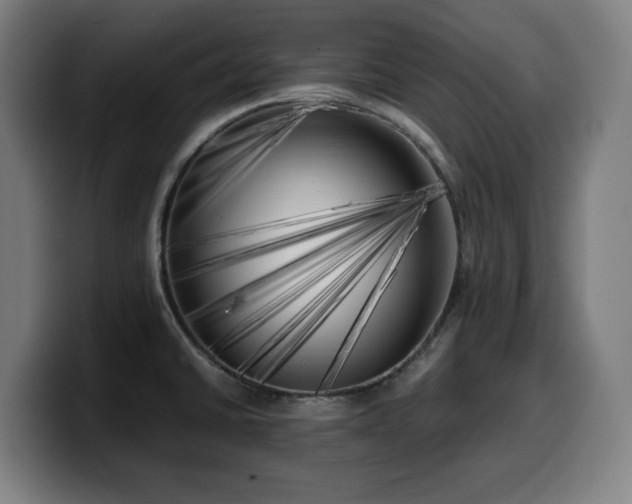 X0000099931430200805301150