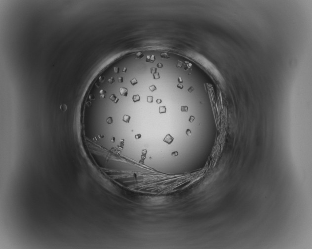 X0000099931431200805301150