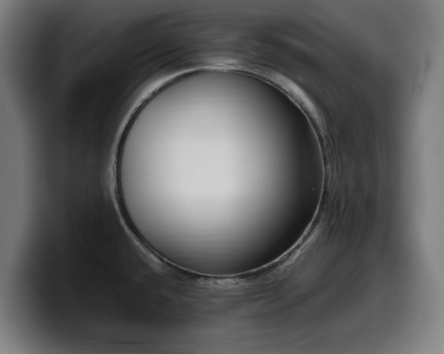 X0000099931432200805301150