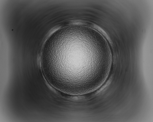 X0000099931433200805301150