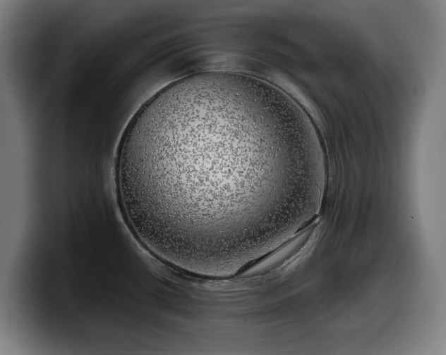 X0000099931434200805301150