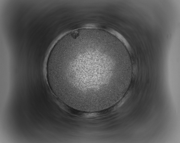 X0000099931435200805301150