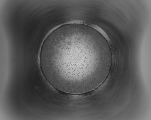 X0000099931436200805301150