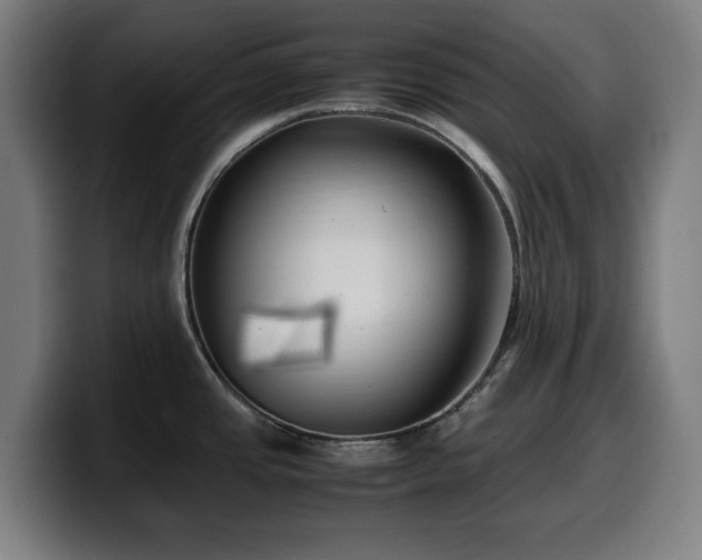 X0000099931437200805301150