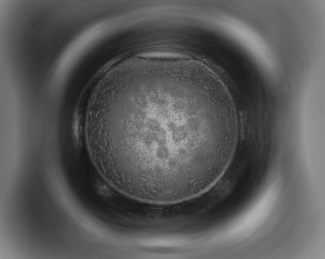 X0000099931438200805301150