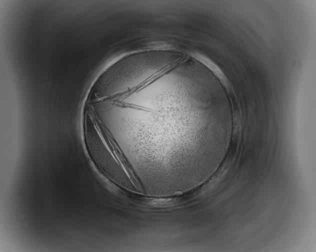 X0000099931439200805301150