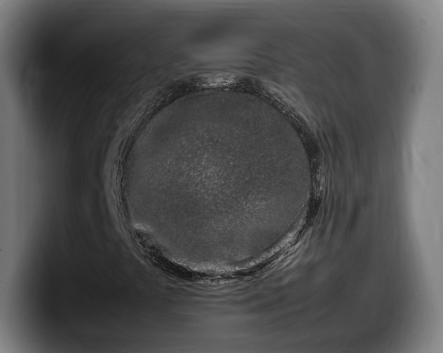 X0000099931441200805301149