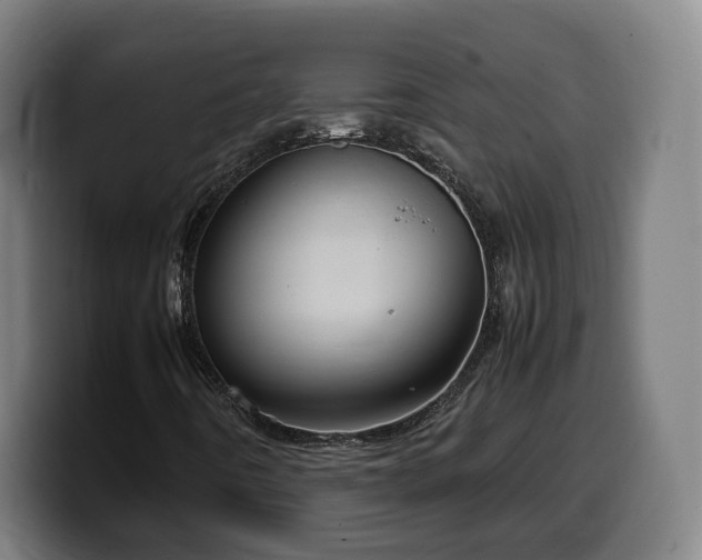 X0000099931442200805301149