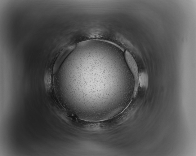 X0000099931444200805301149