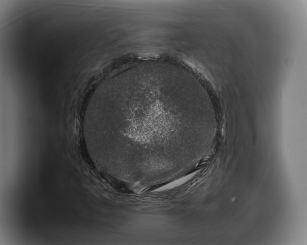 X0000099931445200805301149