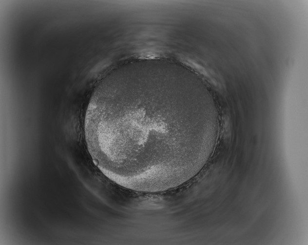 X0000099931446200805301149