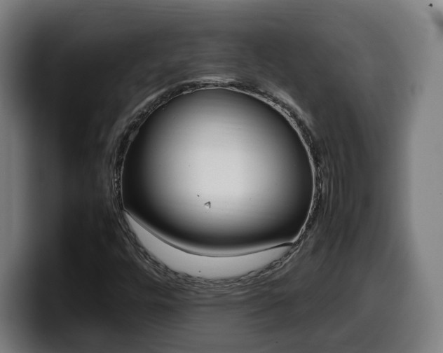 X0000099931448200805301149