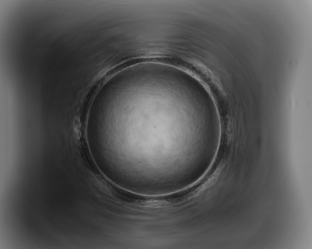 X0000099931449200805301149