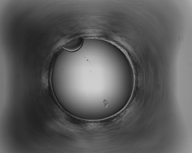 X0000099931451200805301149