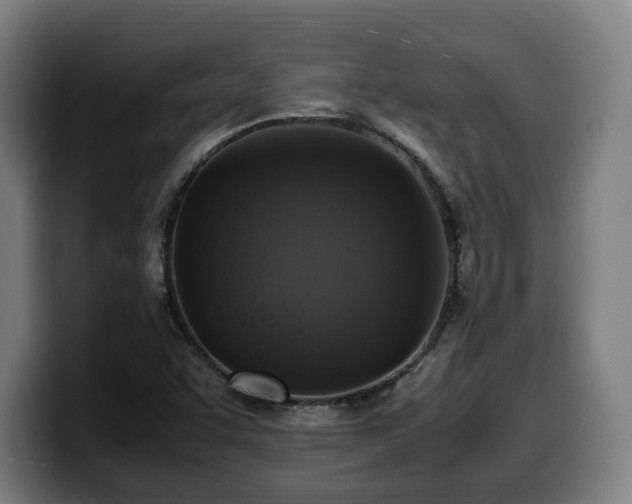 X0000099931455200805301149