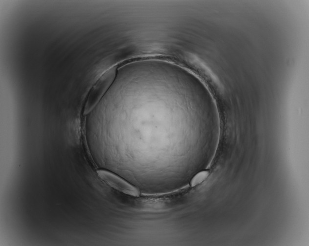 X0000099931457200805301149