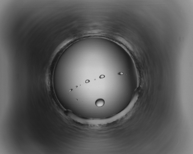 X0000099931458200805301149