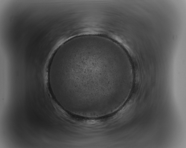 X0000099931459200805301149