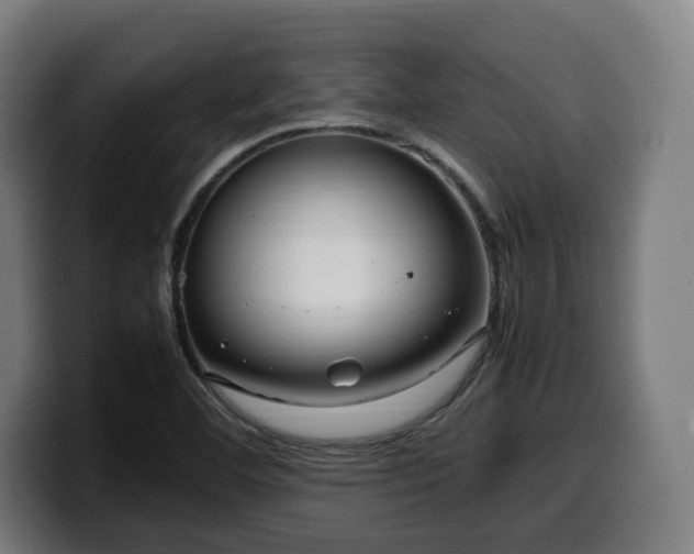 X0000099931460200805301149